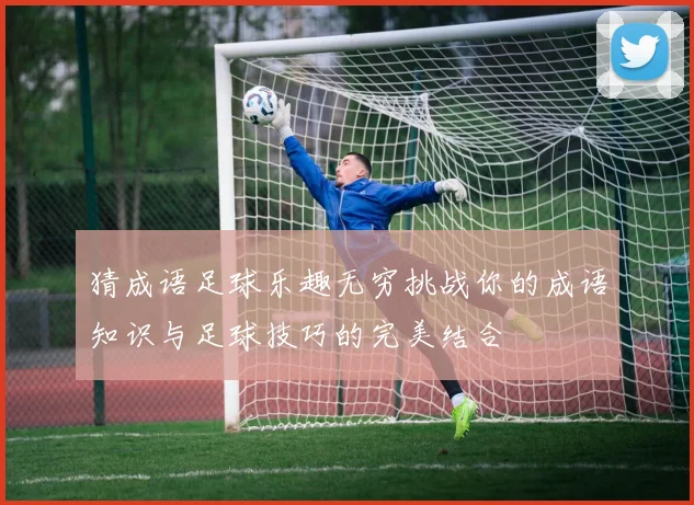 猜成语足球乐趣无穷挑战你的成语知识与足球技巧的完美结合