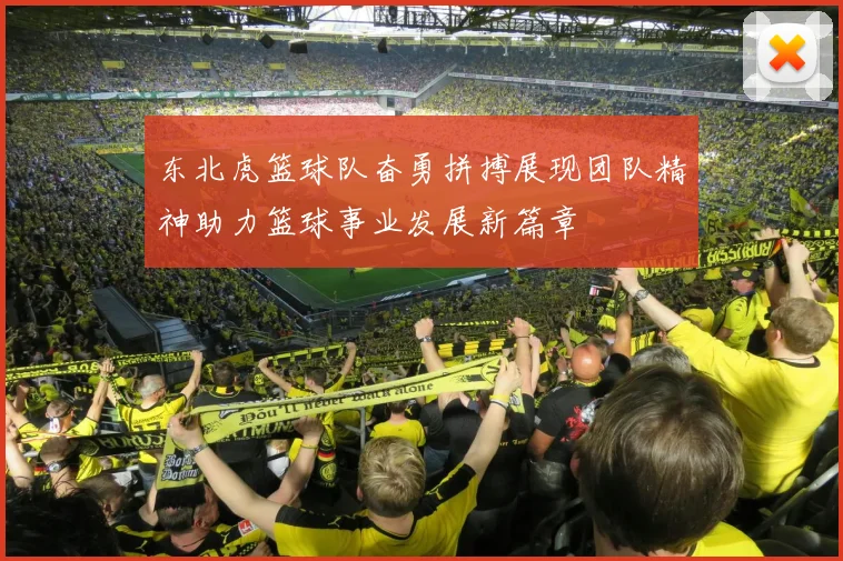 东北虎篮球队奋勇拼搏展现团队精神助力篮球事业发展新篇章