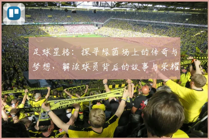 足球星格：探寻绿茵场上的传奇与梦想，解读球员背后的故事与荣耀